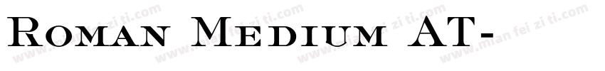 Roman Medium AT字体转换